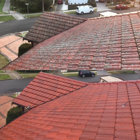 Penrith Roof Restoration Roof Ranger